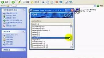 国产精品vv视频,引领潮流的视觉盛宴