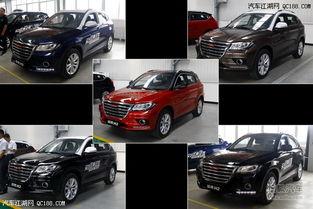 国产h2保养视频大全,视频大全解析