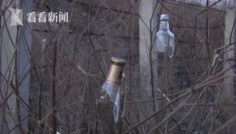 国产弹弓射击视频,精准射击的国产力量展示