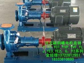 国产电机制作视频,匠心独运，品质卓越