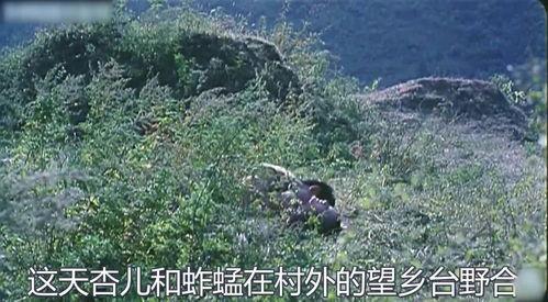 94国产经典视频  第2张